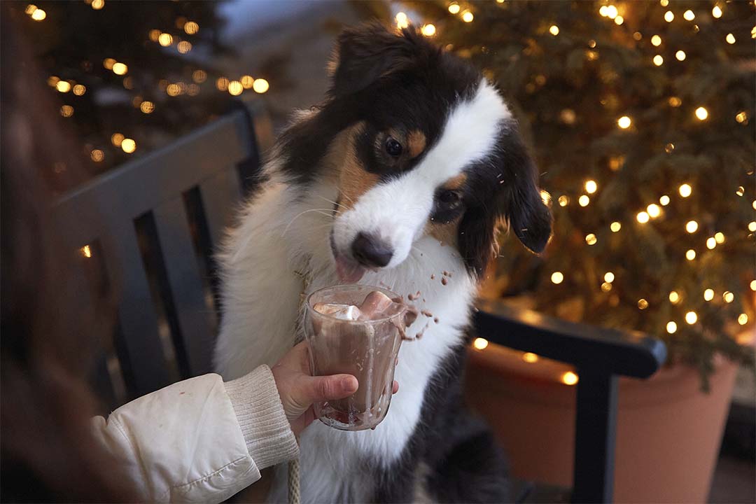11 месяцев