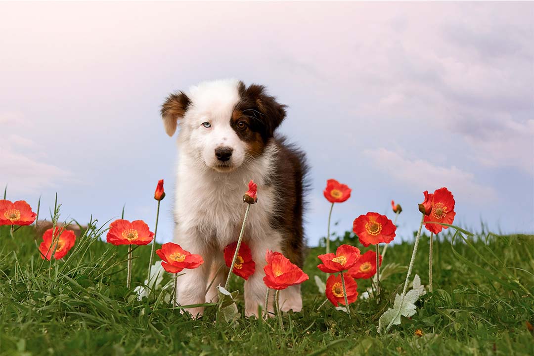 2 месяца