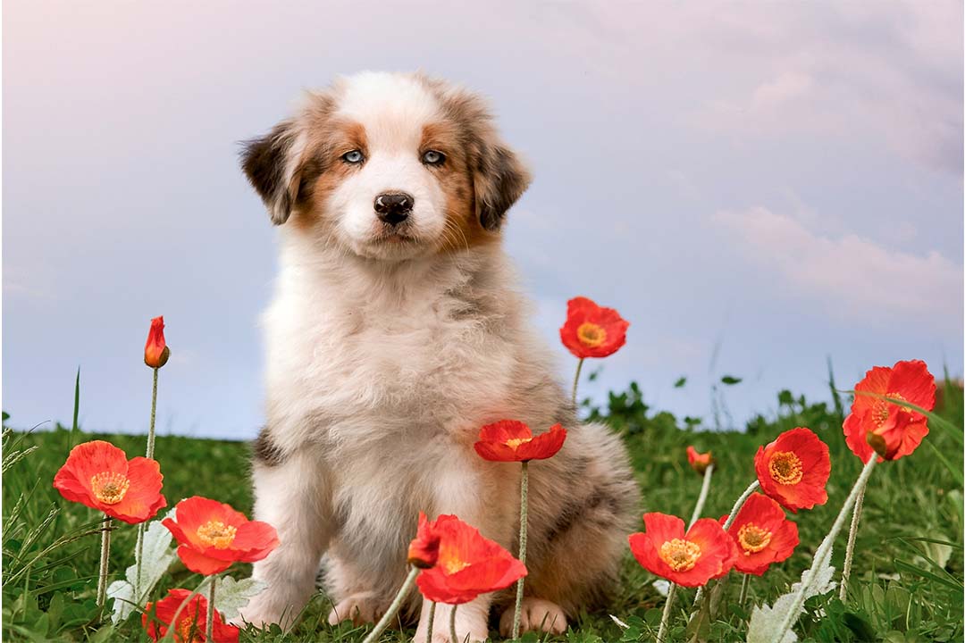 2 месяца