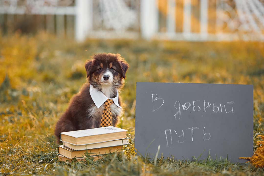 2 месяца
