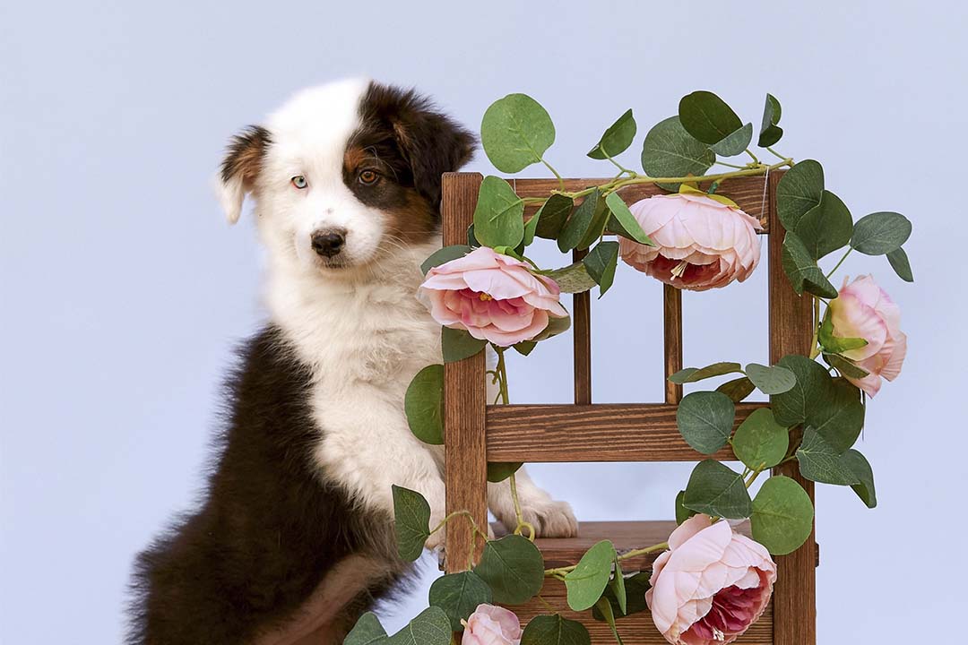 2 месяца