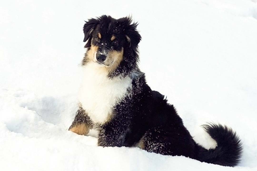 5 месяцев