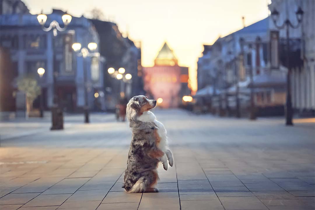 6 лет