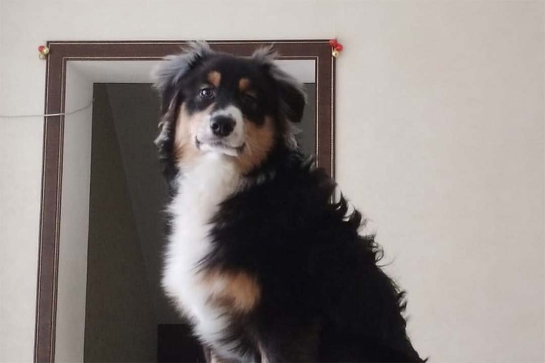 7 месяцев