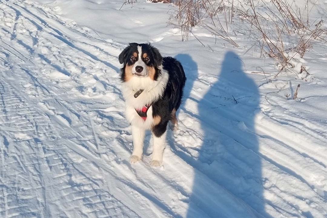 7 месяцев