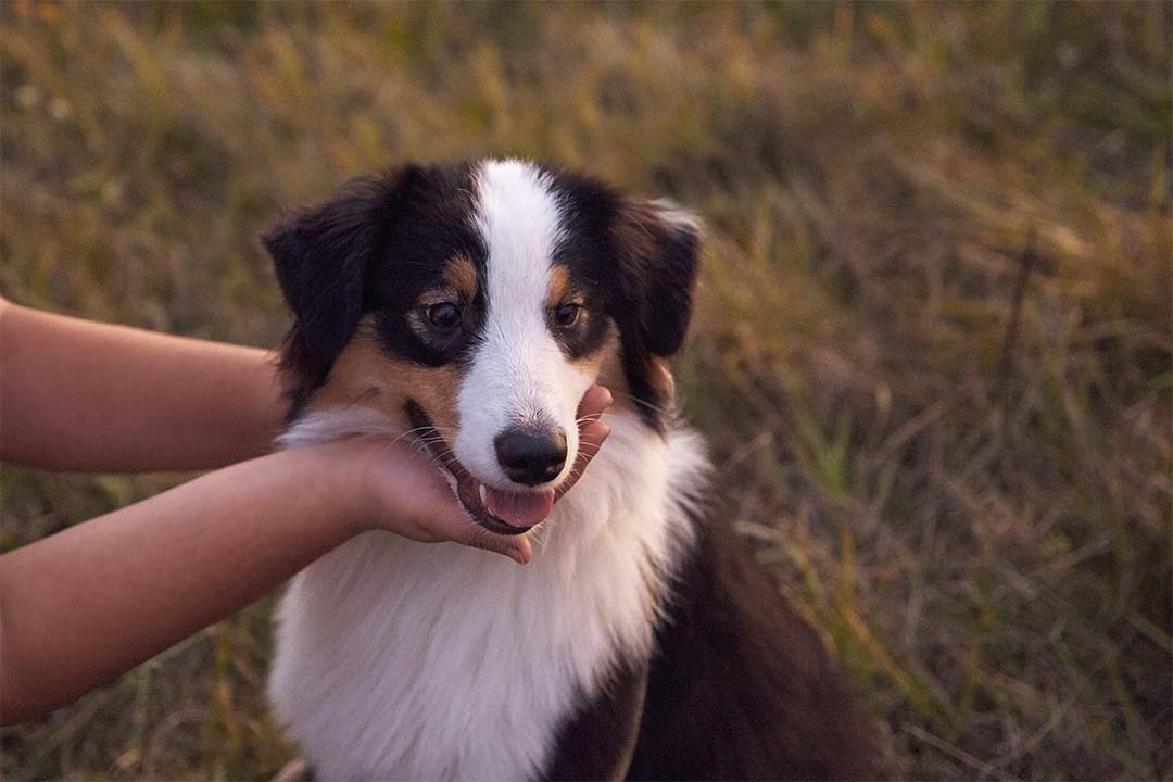 9 месяцев